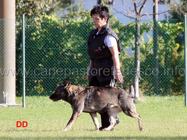 laura-toffolo-con-anny-di-dranael-cane-in-bianco.jpg - Laura Toffolo con Anny di Dranael (cane in bianco)