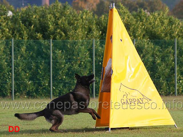 querry-di-oroval-03.jpg - Querry di Oroval (Sq.)