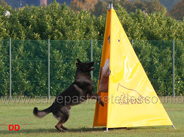 querry-di-oroval-04.jpg - Querry di Oroval (Sq.)