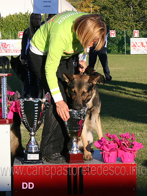 silvia-bagnacani-con-ivan-di-casa-libardi-miglior-obbedienza.jpg - Silvia Bagnacani con Ivan di Casa Libardi miglior Obbedienza