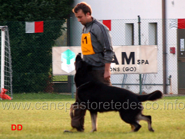 simone-teich-alasia-con-grimson-wonnegauner-02.jpg - Simone Teich Alasia con Grimson vom Wonnegauner (B punti 90)