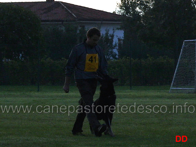 simone-teich-alasia-con-grimson-wonnegauner-03.jpg - Simone Teich Alasia con Grimson vom Wonnegauner (B punti 90)