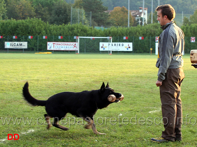 simone-teich-alasia-con-grimson-wonnegauner-07.jpg - Simone Teich Alasia con Grimson vom Wonnegauner (B punti 90)