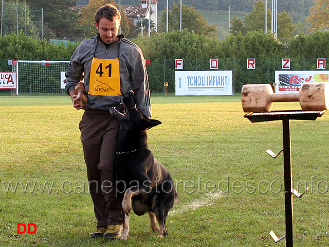simone-teich-alasia-con-grimson-wonnegauner-10.jpg - Simone Teich Alasia con Grimson vom Wonnegauner (B punti 90)