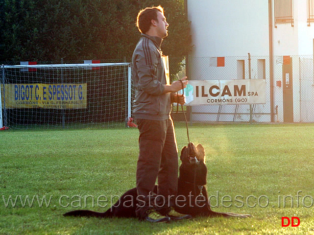 simone-teich-alasia-con-grimson-wonnegauner-11.jpg - Simone Teich Alasia con Grimson vom Wonnegauner (B punti 90)