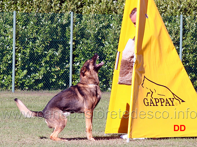 trex-della-zattera-02.jpg - Trex della Zattera (C punti 80)