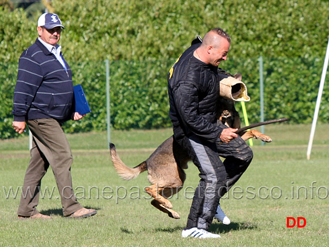 trex-della-zattera-03.jpg - Trex della Zattera (C punti 80)