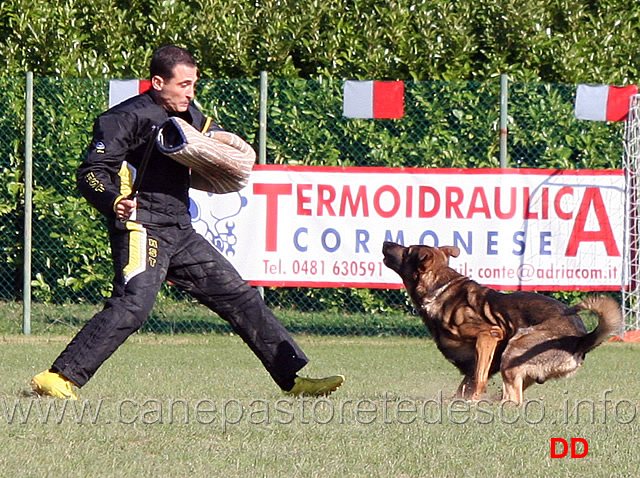 trex-della-zattera-06.jpg - Trex della Zattera (C punti 80)