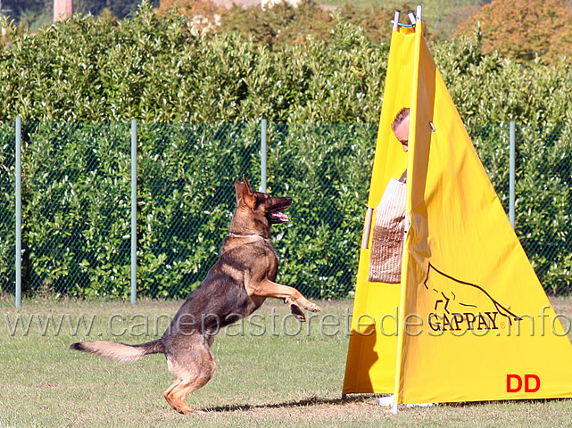 trex-della-zattera.jpg - Trex della Zattera (C punti 80)