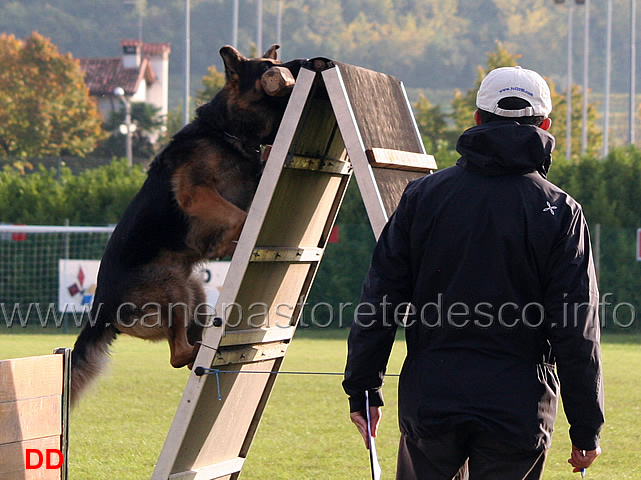 vasco-von-lastal-11.jpg - Vasco von Lastal (B punti 87)