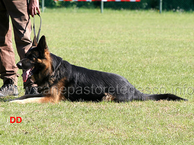 vasco-von-lastal-34.jpg - Vasco von Lastal (C punti 93)