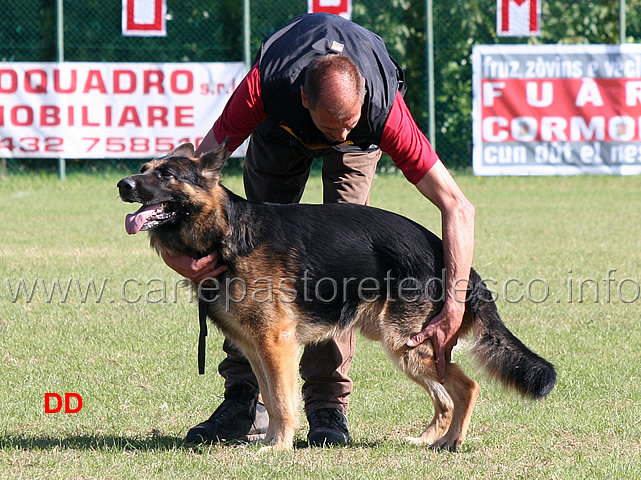 werner-runggaldier-con-vasco-lastal-26.jpg - Werner Runggaldier con Vasco von Lastal (C punti 93)