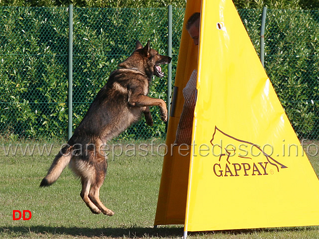 y-polo-aus-der-konigshole-04.jpg - Y Polo aus der Konigshole (C punti 95)