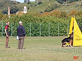 werner-runggaldier-con-vasco-lastal-17