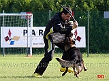 y-polo-aus-der-konigshole-27