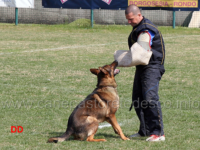 aragorn-della-decima-mas-C89-IPO2-10.jpg - Aragorn della Decima Mas IPO2 ( C punti 89 )