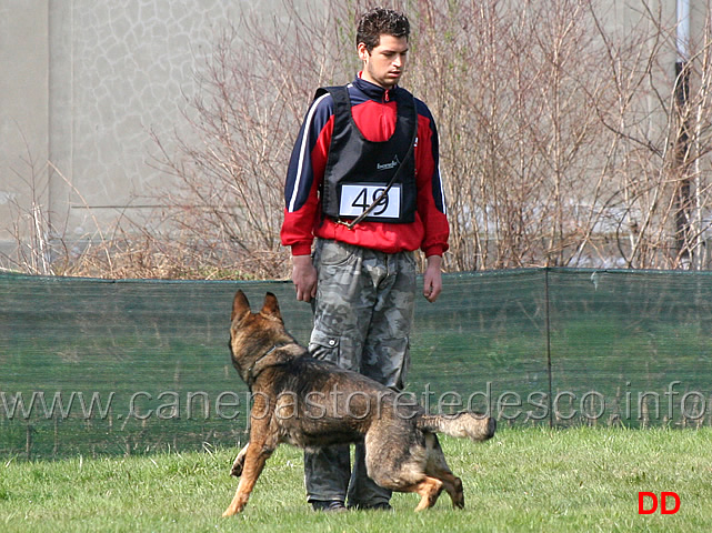 denny-nosella-con-iwan-di-casa-nosella-B89-IPO3-13.jpg - Denny Nosella con Iwan di Casa Nosella IPO3 (B punti 89)