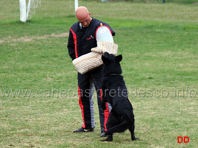 fea-C92-IPO3-09.jpg - Fea IPO3 (C punti 92)