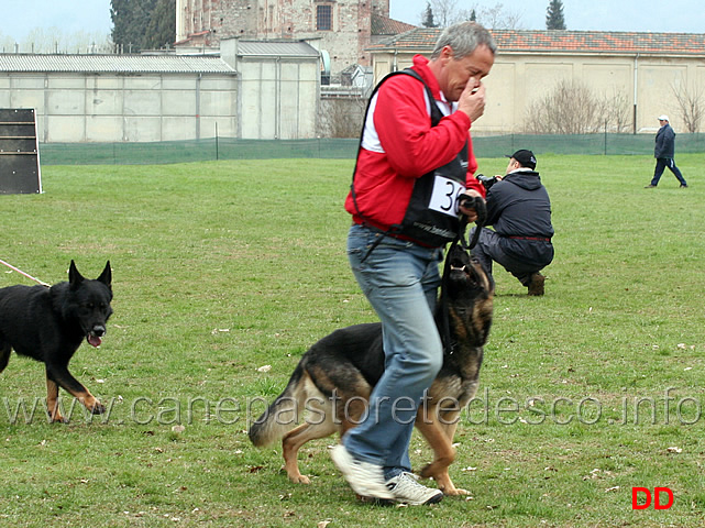 giudizio-morfologico-14.jpg - Giudizio morfologico maschi