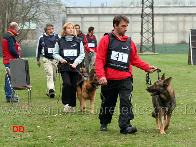 giudizio-morfologico-18.jpg - Giudizio morfologico maschi