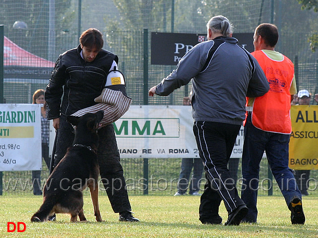 prove-in-bianco-04.jpg - Prove in bianco. Un grande feeling tra il conduttore non vedente e il suo cane.