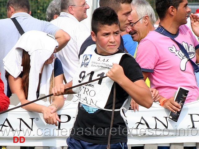 andrea-de-ciantis.jpg - Andrea De Ciantis