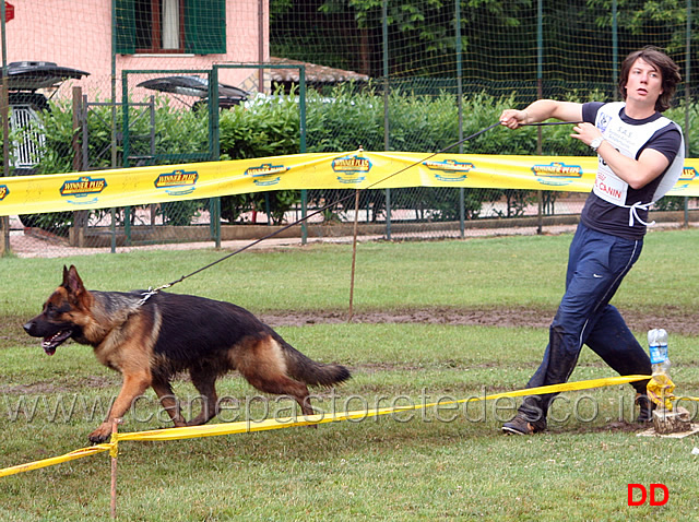 conduttore-di-falko.jpg - Falko con il suo conduttore del Campionato (foto Campionato Giovani 2010)