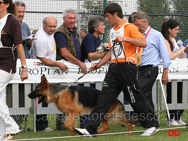 rosario-carrubba-cuccioloni-maschi.jpg - Rosario Carruba con Nato di Casa Beggiato