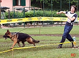 conduttore-di-falko