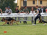 cuccioloni-maschi-conduttore-di-lugher-isola-dei-baroni