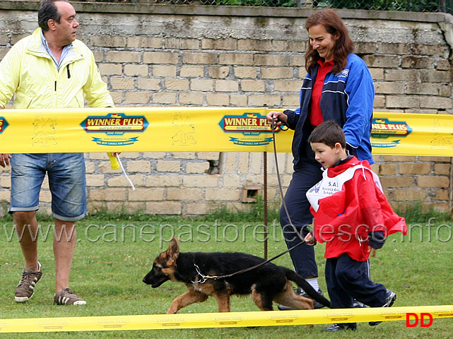 enrico-teodori-con-greta-degli-arvali-6.jpg - Baby femmine. Enrico Teodori con Greta degli Arvali