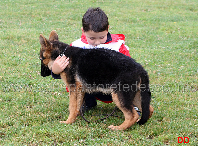 enrico-teodori-con-greta-degli-arvali.jpg - Baby femmine. Enrico Teodori con Greta degli Arvali