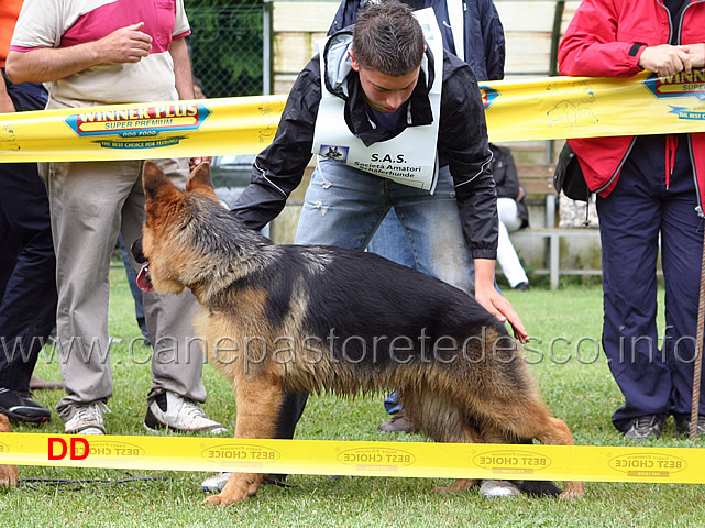 etna-dell-appio-condotta-da-gianmarco-castaldo-2-classificata-juniores-femmine-.jpg - Etna dell'Appio condotta da Gianmarco Castaldo 2 classificata Juniores femmine