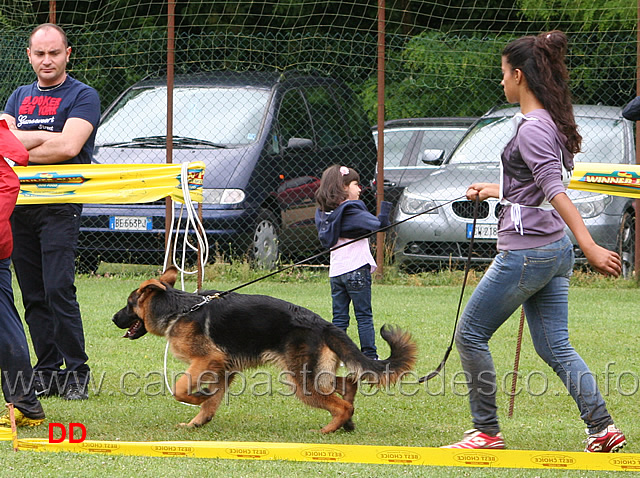 juniores-femmine-kristina-dori-con-ashley.jpg - Juniores femmine. Kristina Dori con Ashley