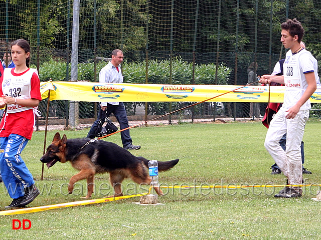 juniores-maschi-manuel-prezioso-con-oban.jpg - Juniores maschi. Manuel Prezioso con Oban