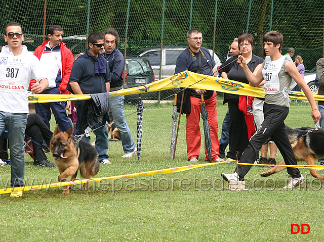 juniores-maschi-rosario-carrubba-con-nato-di-casa-beggiato-.jpg - Juniores maschi. Rosario Carrubba con Nato di Casa Beggiato