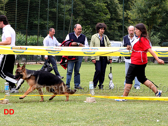 juniores-maschi-silvia-lucchese-con-max-degli-osci.jpg - Juniores maschi. Silvia Lucchese con Max degli Osci