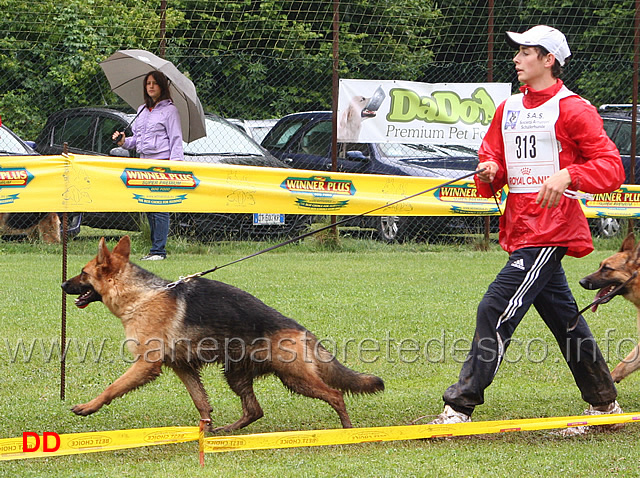 fabio-jr-giovannoni-con-inscha-muikenshof.jpg - Fabio Jr. Giovannoni con Inscha Muikenshof
