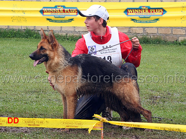 inscha-muikenshof-condotta-da-fabio-jr-giovannoni-3-classificata-in-giovanissime.jpg - Inscha Muikenshof condotta da Fabio Jr Giovannoni 3 MB in giovanissime femmine
