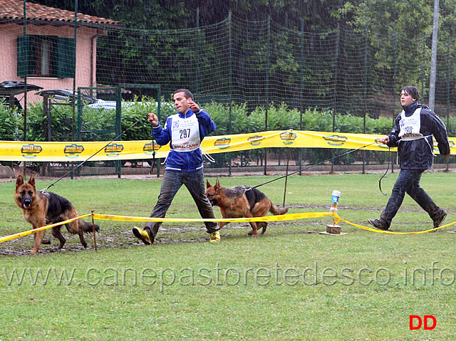 michele-falcone-con-rosy-e-tommaso-pizzorusso-con-qualy-degil-achei.jpg - Michele Falcone con Rosy e Tommaso Pizzorusso con Quali degli Achei