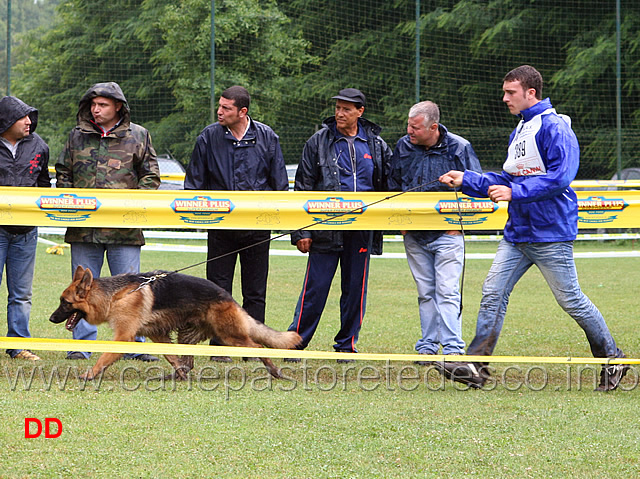 raffaele-pizzorusso-con-gimmy-degli-arvali.jpg - Raffaele Pizzorusso con Gimmy degli Arvali