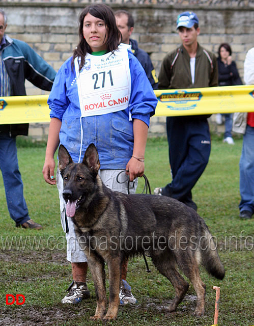 beck-condotto-da-silvia-lucchese-8-B-lavoro-maschi.jpg - Beck condotto da Silvia Lucchese 8 B  lavoro maschi