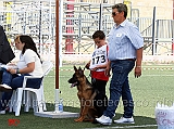 baby-maschi-fawkes-di-poggio-del-sole