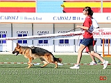 cucciolone-femmine-luna