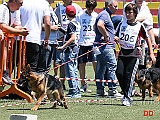 emanuele-capitano-con-beta-degli-achei-03