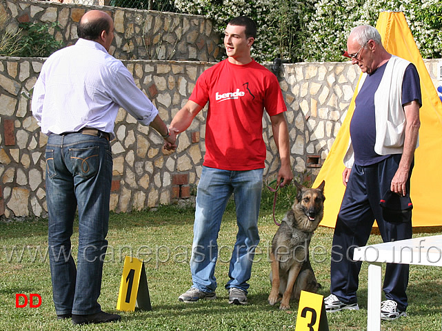 1-classificati-in-IPO3-enrico-barbanera-con-quendy-della-decima-mas.jpg - 1 classificati in IPO3 Enrico Barbanera con Quendy della Decima Mas