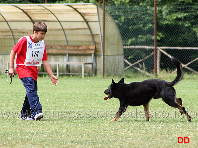 andrea-valeri-con-cari-della-decima-mas-avviamento-06.jpg - Andrea Valeri con Cari della Decima Mas. Avviamento.