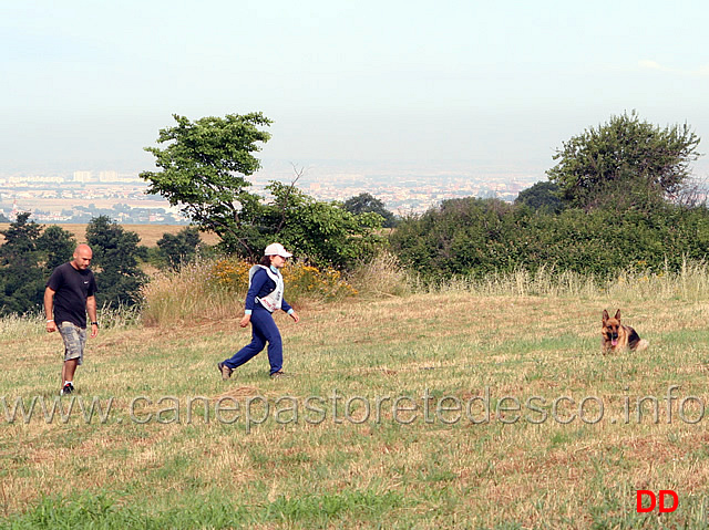 anna-zampieri-con-bloom-in-pista-03.jpg - Anna Zampieri con Bloom  in pista (IPO2)