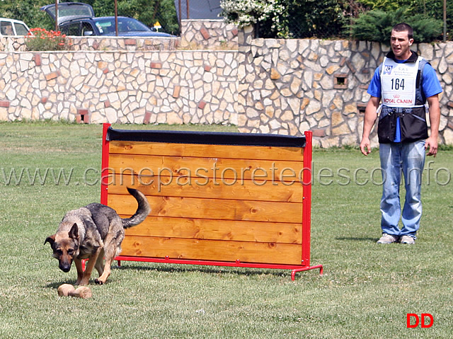 enrico-barbanera-con-quendy-della-decima-mas-IPO3-12.jpg - Enrico Barbanera con Quendy della Decima Mas. IPO3.