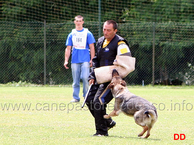 enrico-barbanera-con-quendy-della-decima-mas-IPO3-20.jpg - Enrico Barbanera con Quendy della Decima Mas. IPO3.